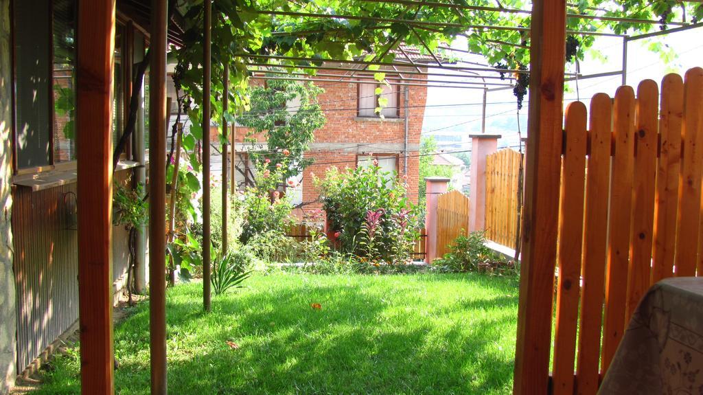 Guesthouse Elena Belogradchik Esterno foto